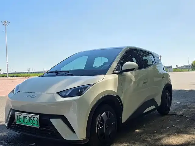 BYD Seagull, 2025